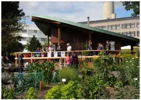 a-colourful-summer-gathering-in-the-garden.jpg