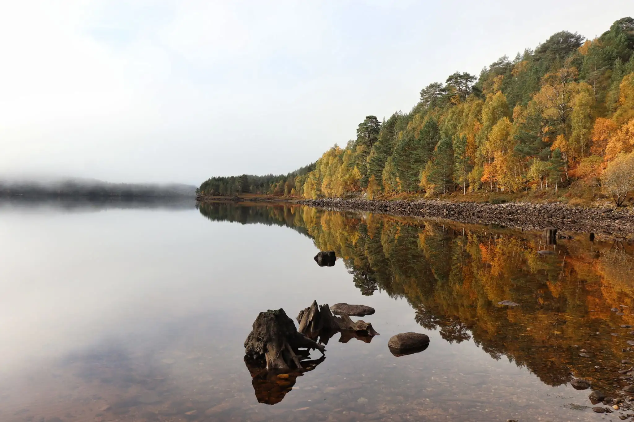 The Highlands 