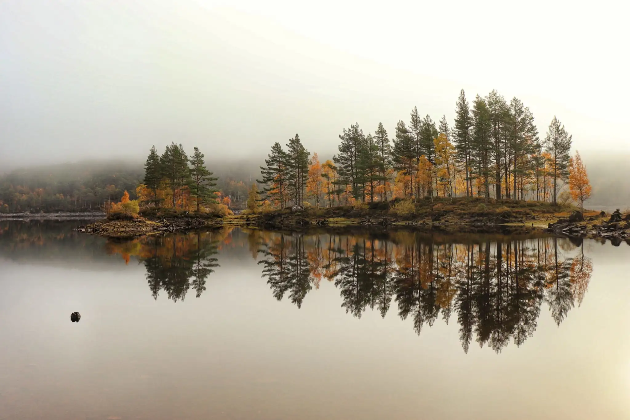 The Highlands 