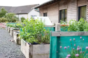 gairloch-gale-centre-growing-space-03---credit-rupert-shanks-photography-min.jpg