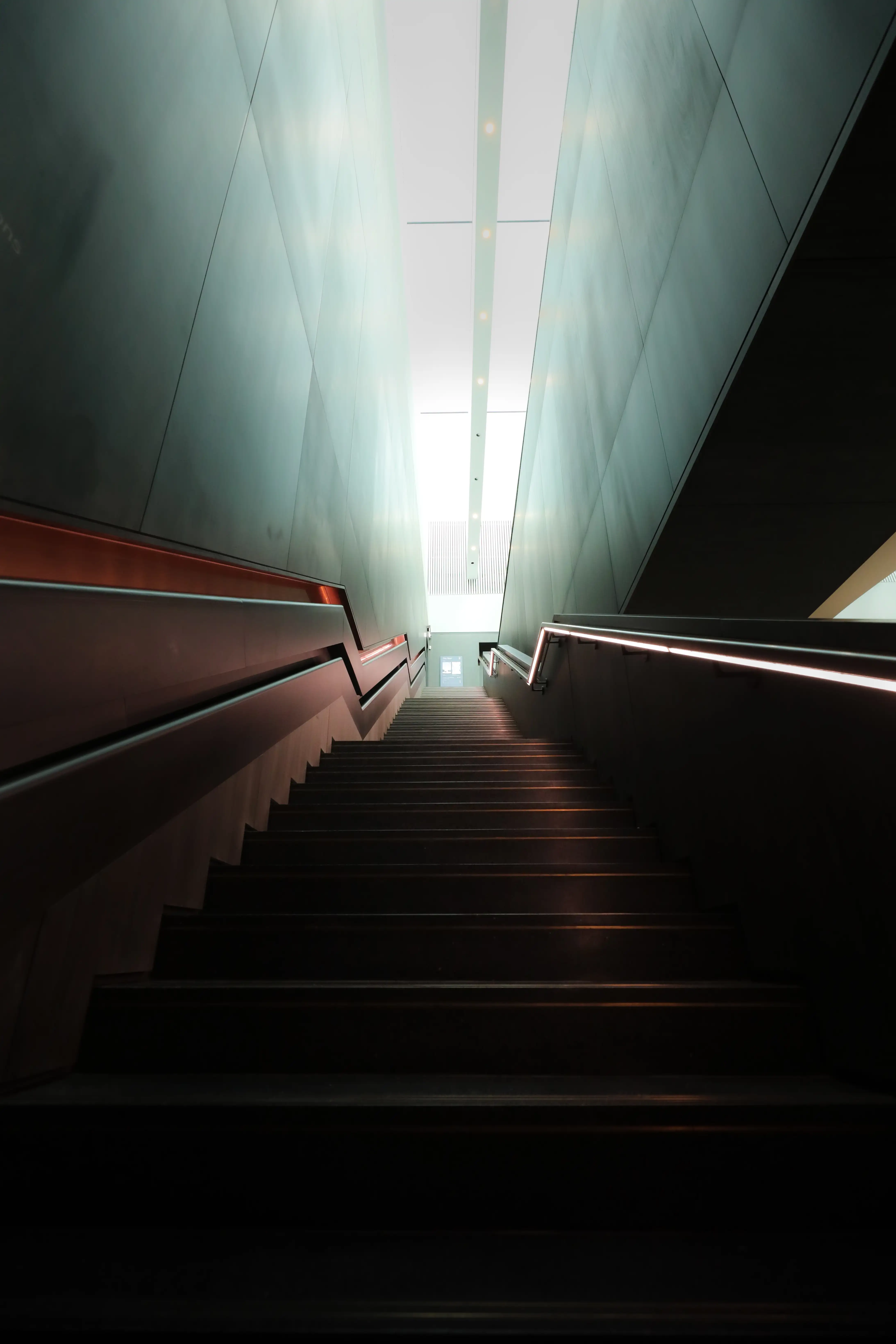 An Artist's Perspective