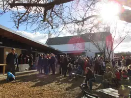 bopening2.jpg